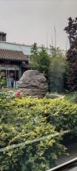 -北京市东城区妇幼保健院(北院区)