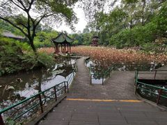 -房湖公园