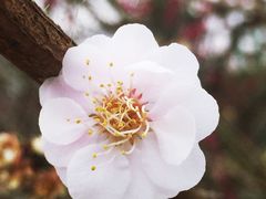 -北京鹫峰国家森林公园