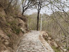 -大岭沟猕猴桃谷风景区