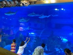 -成都浩海立方海洋公园