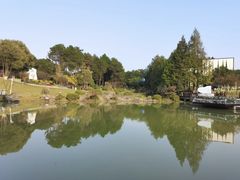 -铁山坪森林公园