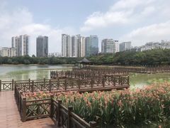 -南宁南湖公园