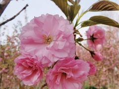 -太阳宫公园