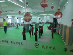 -武术世家少儿培训中心(首都体育学院店)
