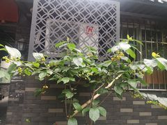 -泡桐树街