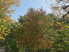 -哈尔滨文化公园