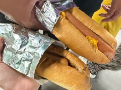 -巴黎迪士尼乐园