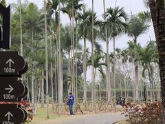 -中国科学院西双版纳热带植物园