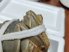 -黄记大闸蟹专卖店·活蟹·醉蟹