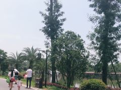 -枫香湖儿童公园