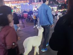 -欢乐迪KTV(观音桥未来国际店)