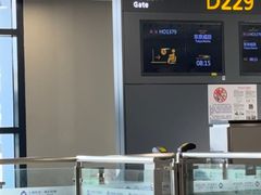 -上海浦东国际机场-T2航站楼