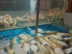 水产区-东宴(温岭店)