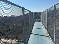 -白水寺森林公园