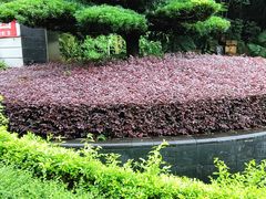 -梧桐山风景名胜区