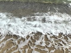 -玫瑰海岸文化旅游度假区