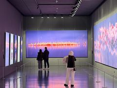 -罗红摄影艺术馆