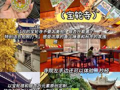 -陈陈火锅(较场口店)