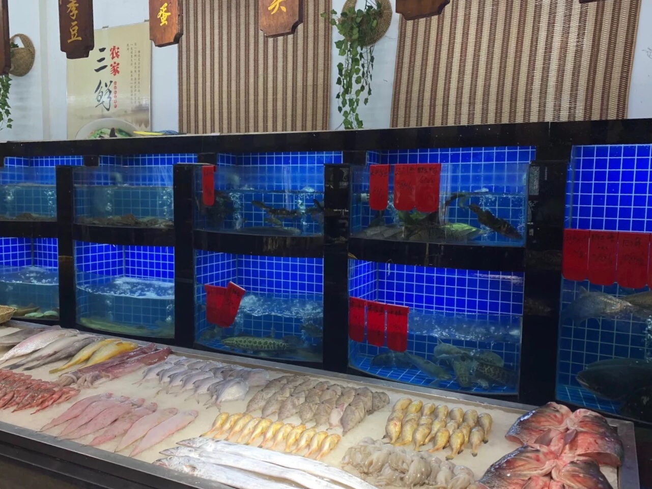 越府农家大院