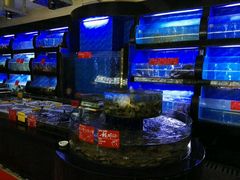 水产区-骏莱海鲜鱼港(五角场店)