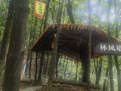 -广州市帽峰山景区