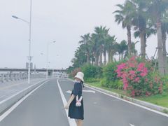 -海堤纪念公园