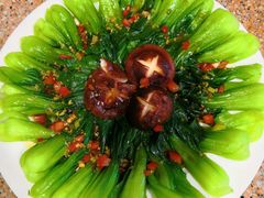 -大班家政月嫂育儿嫂(深圳NO.1店)