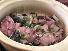 -黑河坝泡姜鸡贡椒鱼(贾旗路店)