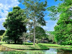 -中国科学院西双版纳热带植物园