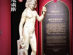 -广西壮族自治区博物馆