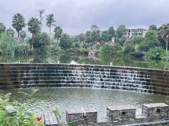 -枫香湖儿童公园