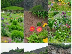 -上海辰山植物园