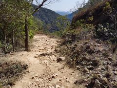 -梧桐山风景名胜区