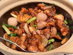 啫啫鲜鸡煲-翡翠江南(国贸商城店)