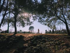 -蜀冈西峰生态公园