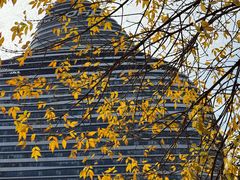 -新荟城(望京店)