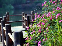 -九如山休闲旅游度假区