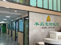 -半岛宠物医院24小时(科华中路店)