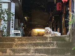 -磁器口古镇