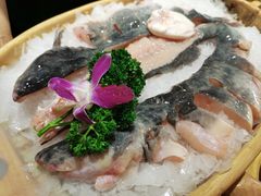 -吃城都·鱼蛙火锅(西玉龙街店)