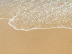 -钱大妈海鲜饭店(保利林语店)