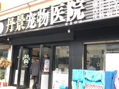-丹景宠物医院·全科·老年病·牙科(武昌诊疗中心)