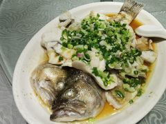 香葱淋鲈鱼-粤·向群饭店(龙津东路总店)