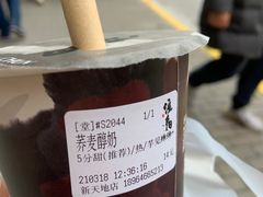 -注春·荞麦奶茶(新天地旗舰店)