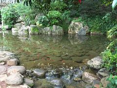 -蝴蝶泉公园