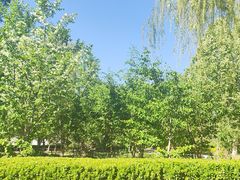 -燕郊植物园