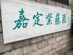 -嘉定紫藤园