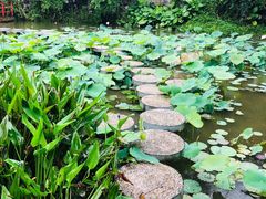 -珠海圆明新园