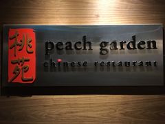-桃苑(华侨银行大厦店)